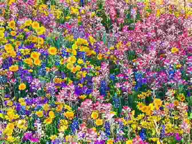 A Field Of Wildflowers In Full Bloom, Their Petals A Vibrant Mosaic Of Colors. Wildflower Tea: A Poetry Collection