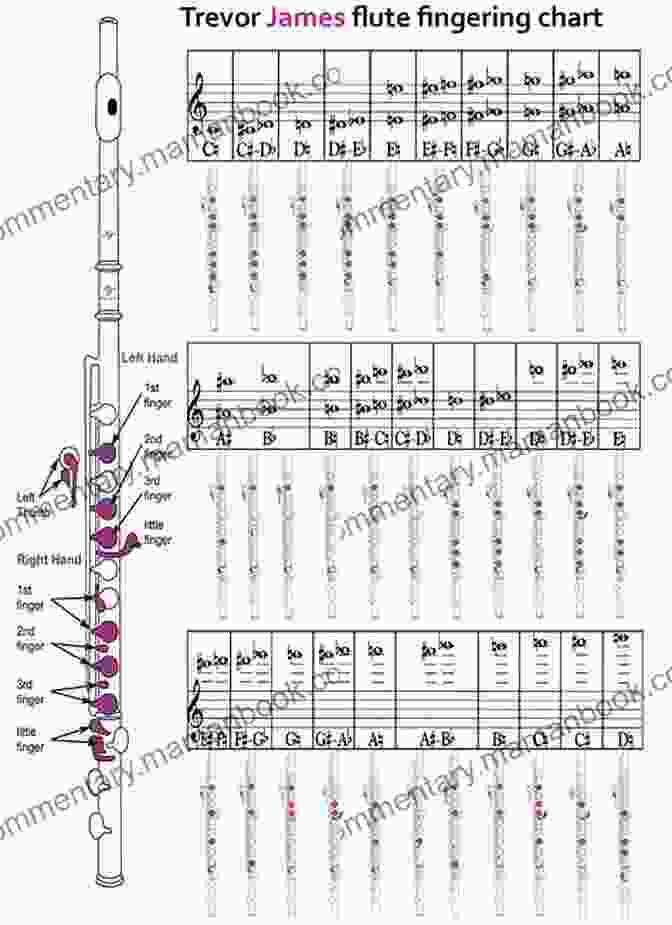 A Fingering Chart For The Flute, Displaying The Fingerings For Notes From C To C''' Flute Basics (Pupil S Book): A Method For Individual And Group Learning (Student S Book) CD (Faber Edition: Basics)