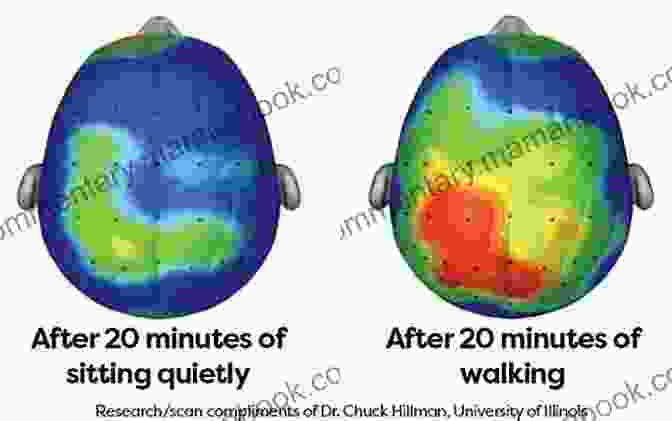 Brain Scan Showing Increased Brain Activity After Brain Training For Reversals Brain Training For Reversals: B D P Q (Reversal Remedies Workbooks 1)