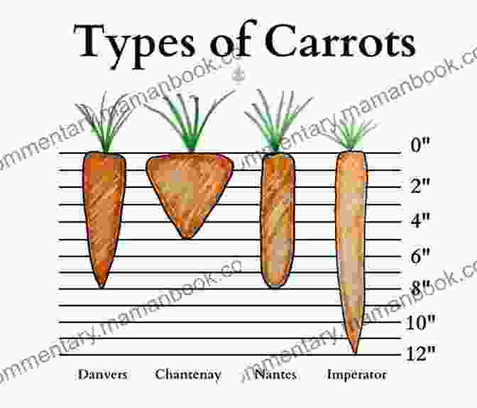 Carrotology: A Carrot Shaped Guide To Spirituality The Alternative Guide To Religion (Carrotology 2)