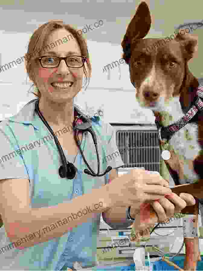 Dr. Emily Carter And Jake Amidst A Thrilling Adventure Sharp File: Romantic Suspense Archaeology Adventure Novel (The Rider Files 7)