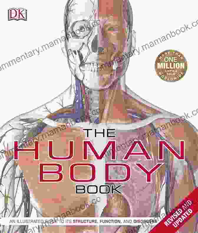 The Concise Human Body Book Cover Featuring A Vibrant Illustration Of The Human Body The Concise Human Body Book: An Illustrated Guide To Its Structure Function And Disorders