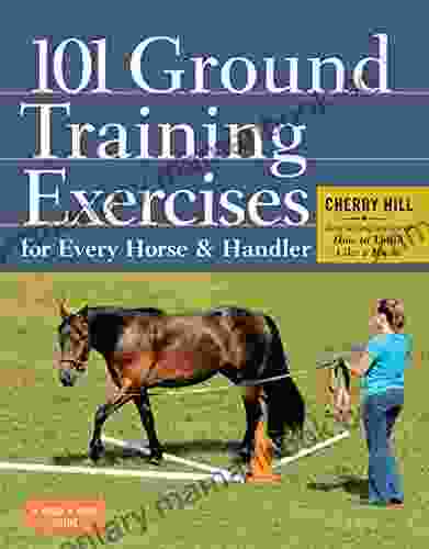 101 Ground Training Exercises For Every Horse Handler (Read Ride)