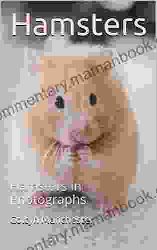 Hamsters: Hamsters In Photographs BRANDI ROBINSON