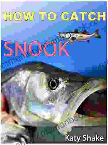 How To Catch Snook (Correct Times)