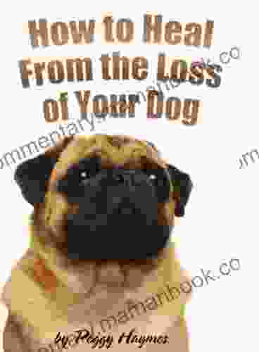 How To Heal From The Loss Of Your Dog