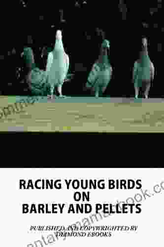 RACING YOUNG BIRDS ON BARLEY AND PELLETS